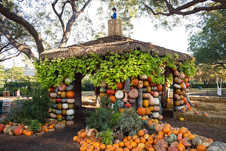 Fall is in Full Swing at the Dallas Arboretum