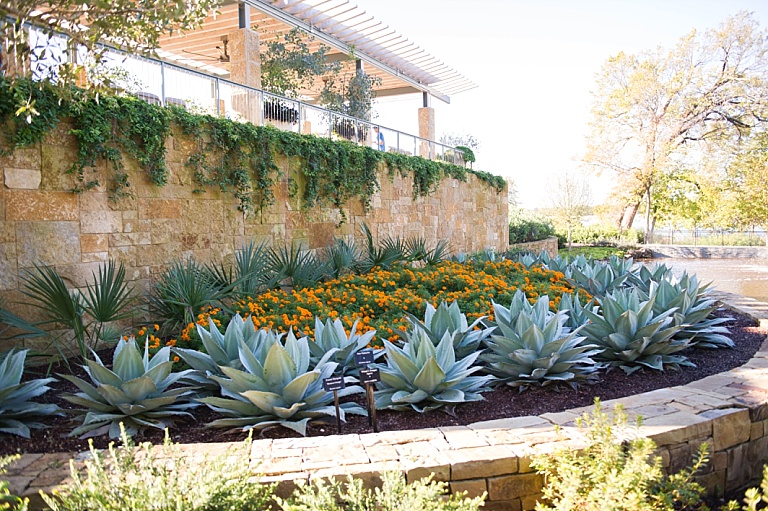 Dallas Arboretum in the Fall