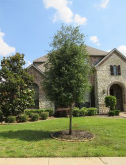 Evergreen Live Oak Tree planted in a front yard with an Evergreen Little Gem Magnolia planted on the end of the flowerbed. Trees planted by Treeland Nursery,