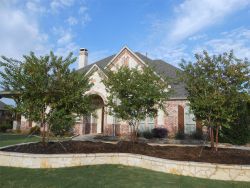 Grouping of three Natchez Crape Myrtles planted in a raised bed in a frontyard by Treeland Nursery.