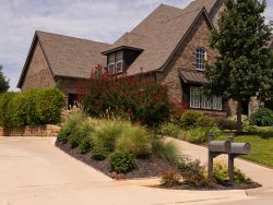 Dynamite Crape Myrtles planted in a flowerbed dividing two driveways. Photographed in Colleyville, Texas by Treeland Nursery.