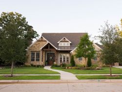 Mixture of Red Oak and Live Oak trees planted in a frontyard in Argyle, Texas by Treeland Nursery.