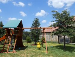 Live Oak Trees planted in backyard to provide long term shade. Trees installed and planted by Treeland Nursery.