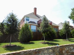 Privacy Screen made up of Live Oak trees and Eastern Red Cedars along the fence. Plantings by Treeland Nursery.