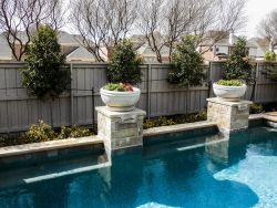 Row of Eagleston Hollies in tree form along and fence and pool. Installed and planted by Treeland Nursery.