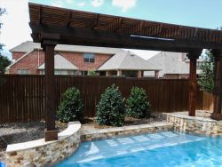 Set of 3 Nellie R. Stevens Hollies planted under a pergola; between a fence and pool. Planted and installed by Treeland Nursery.