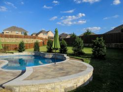 Nellie R. Stevens Hollies planted along a pool for screening in a large backyard. Installed and planted by Treeland Nursery.