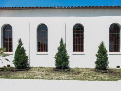 Eastern Red Cedars planted by Treeland Nursery.