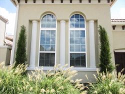 Taylor Junipers flanking a window in a frontyard flowerbed. Installed by Treeland Nursery.