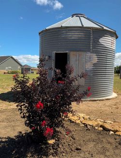 Black Diamond Crape Myrtle planted by Treeland Nursery.