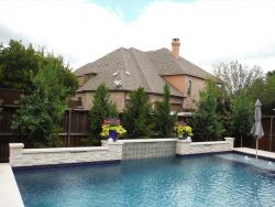 Brodie Eastern Red Cedars install between Eagleston Hollies along a pool.