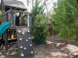 Eastern Red Cedar installed by Treeland Nursery.