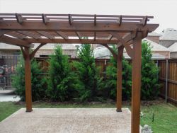 Eastern Red Cedars installed behind a pergola to create a privacy screen.