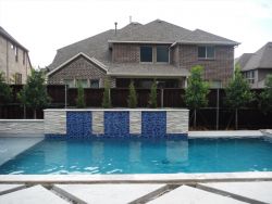 Eagleston Hollies & Eastern Red Cedars 'Taylor' installed between a pool and fence.