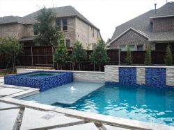 Eagleston Hollies and Eastern Red Cedars 'Taylor' installed between a pool and fence.