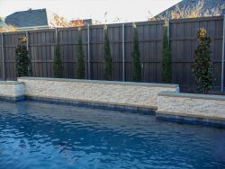 Eastern Red Cedars 'Taylor' installed between Teddy Bear Magnolias behind a pool.