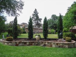 Eastern Red Cedars 'Taylor' installed in a flower bed.